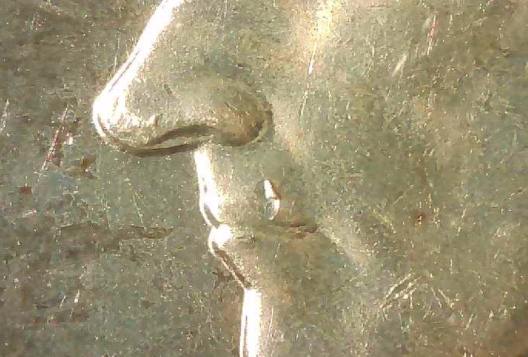 Question-About-1935-D-Boone-Commemorative-Half-Cud
