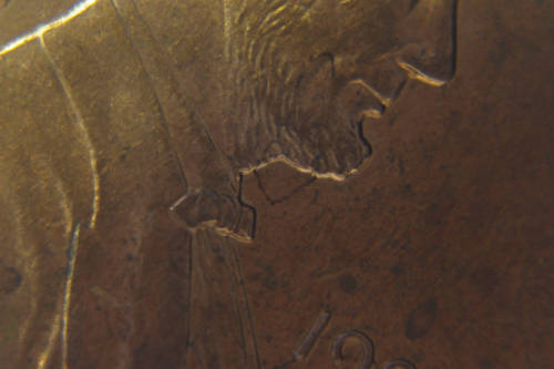 1993-D-Cent-What-Is-This?-I-Need-Some-Help-Thanks-In-Advance