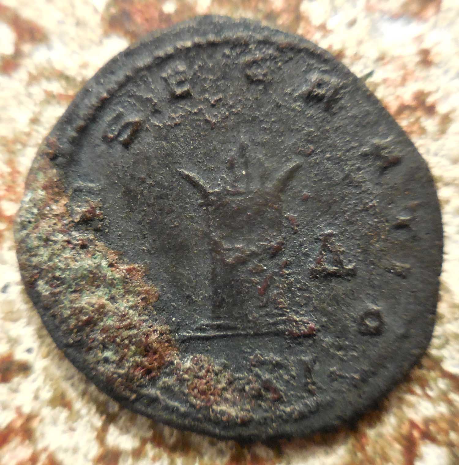 Carus-Raised-Encrustation-Question:
