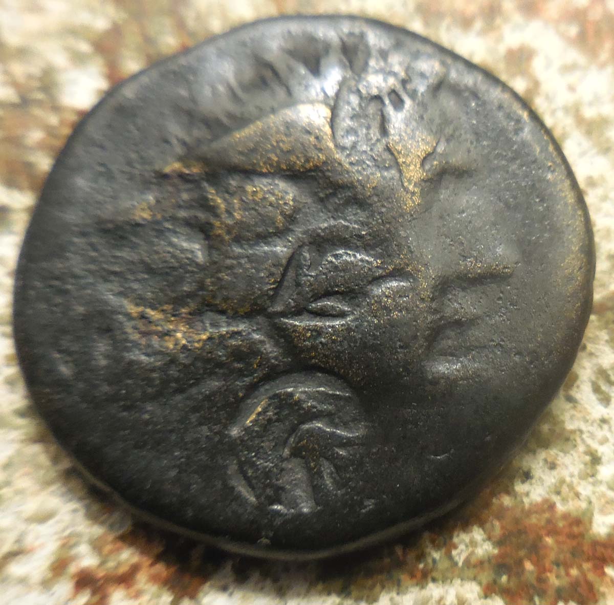 Very-Rare:-Bosporos.-37-8-BC-Pantikapaion.-Medusa/Monogram-Of-King-Polemo-I