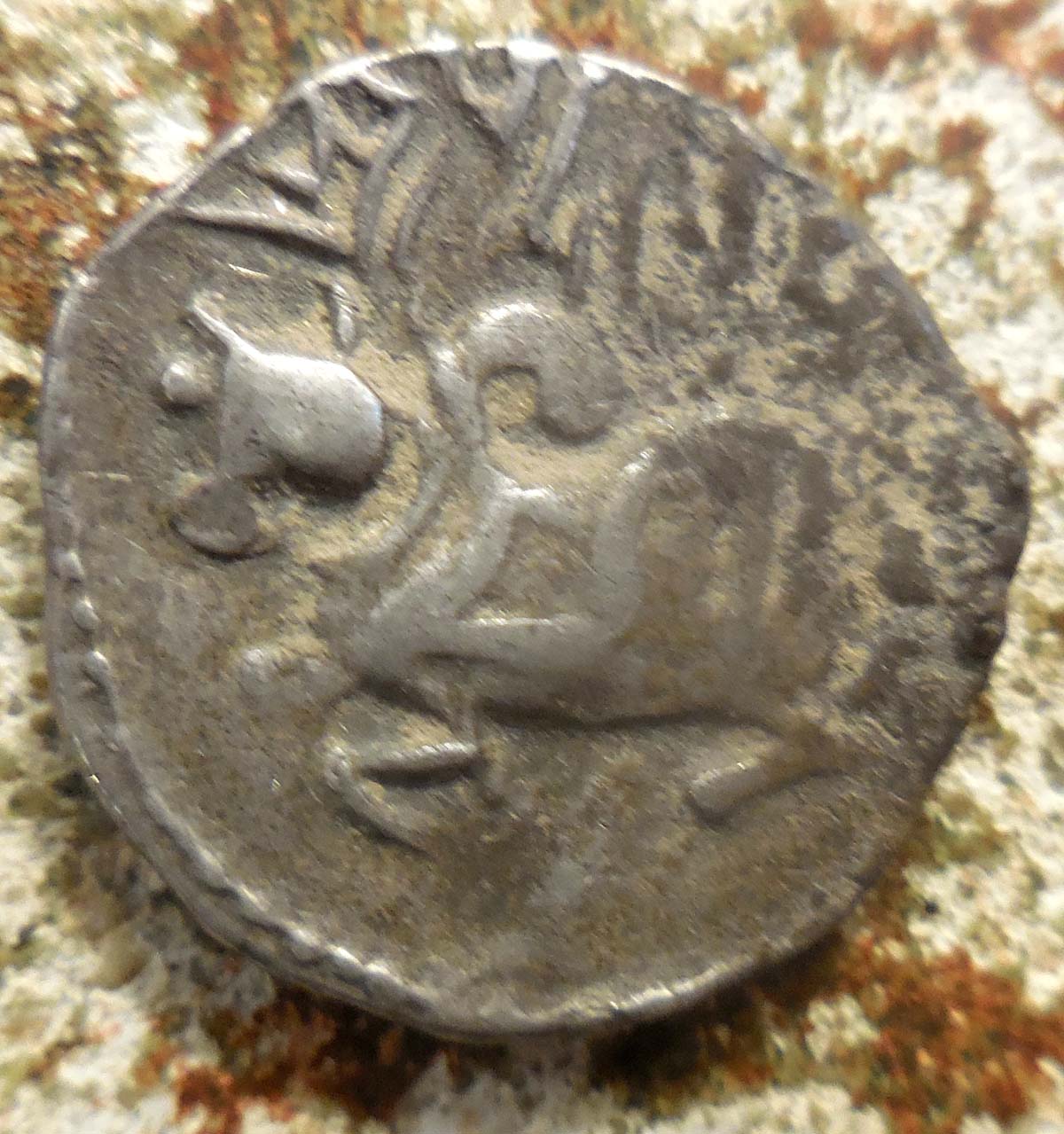 Coins-Of-India---Bull-And-Horseman-Coins-And-Some-Variants