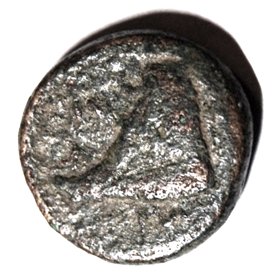 Identifying-Some-Ancients