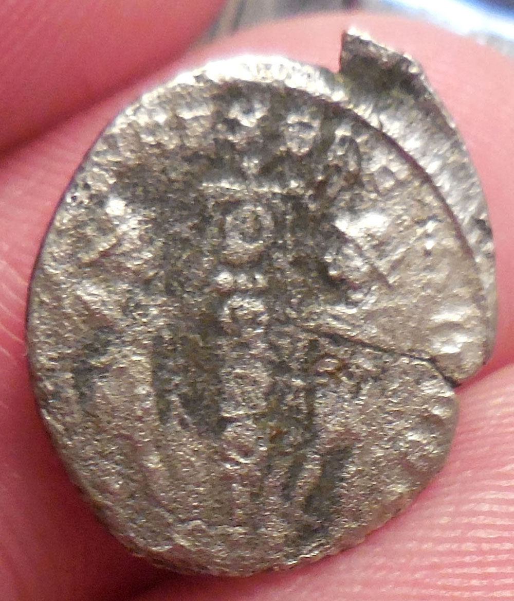 Anyone-Know-What-This-Is?