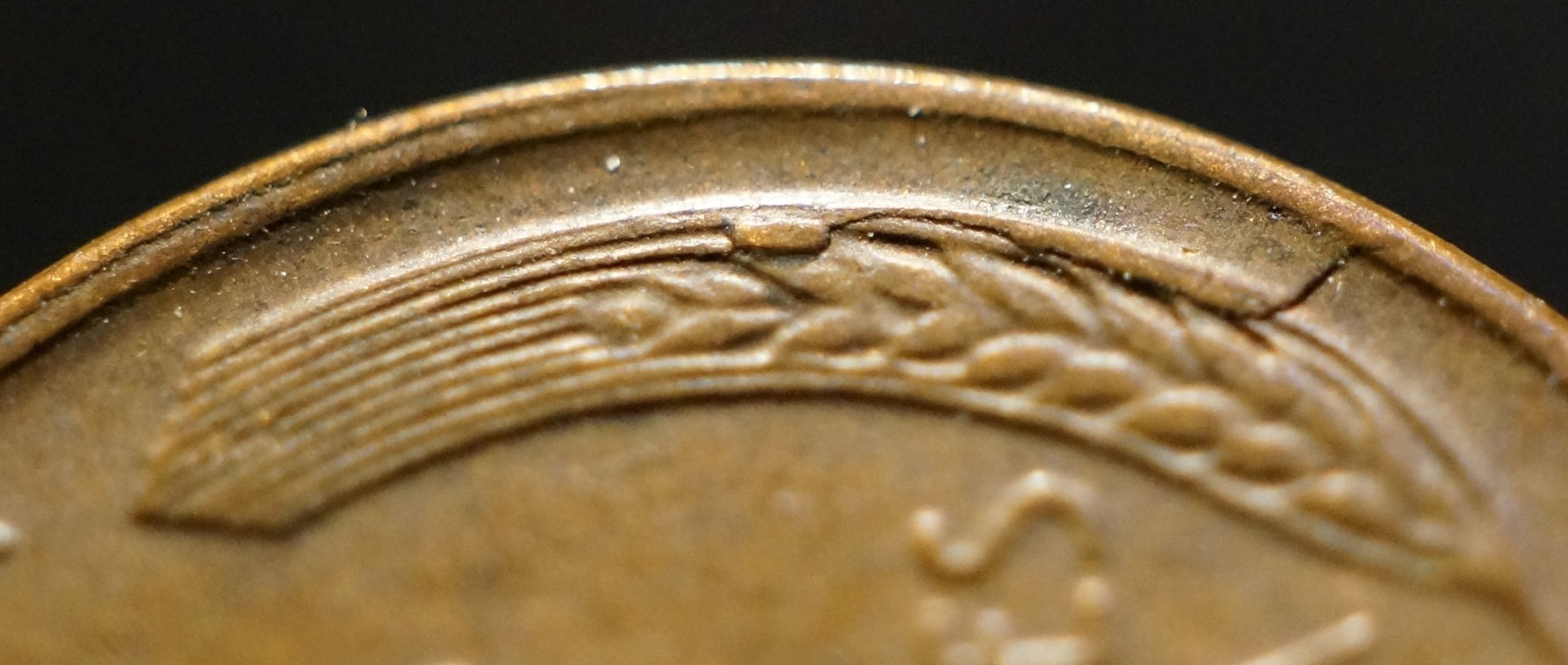 1954-D-LWC-Possible-Retained-Cud?