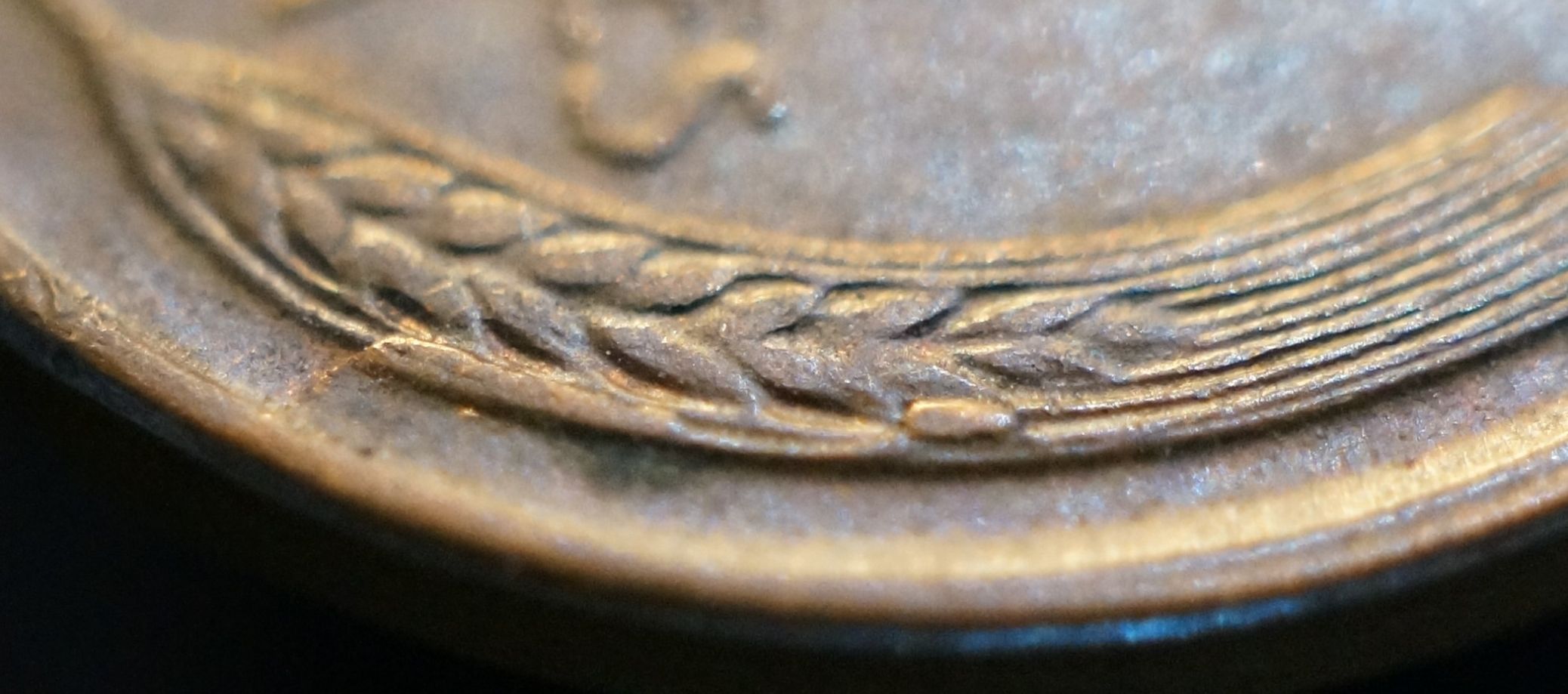 1954-D-LWC-Possible-Retained-Cud?