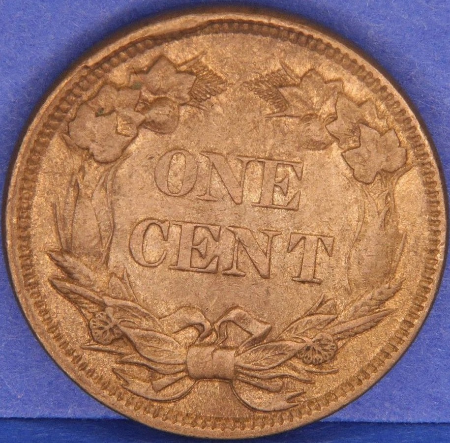 1858-Flying-Eagle-Looks-Odd