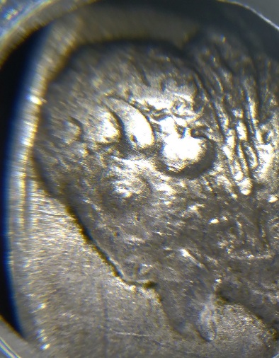 1931-S-Buffalo-Nickel-For-Grade
