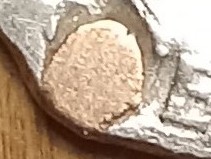 Totally-Damaged-2016-Dime---Yet-Very-Strange