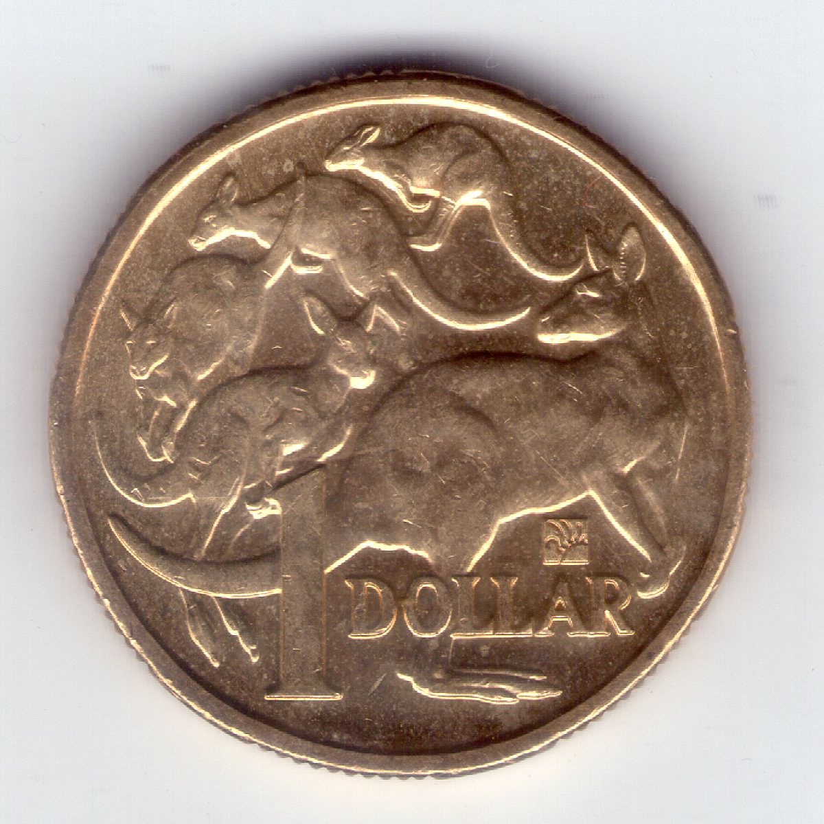Privy-Mark-On-2019-Jc-Mob-Of-Roos-$1-Found-In-Circulation