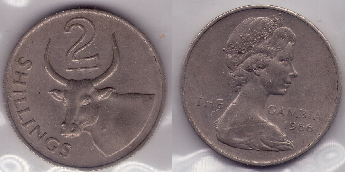 Bring-Out-Your-KM#5-Or-Y#5-Coins-For-Show-&-Tell