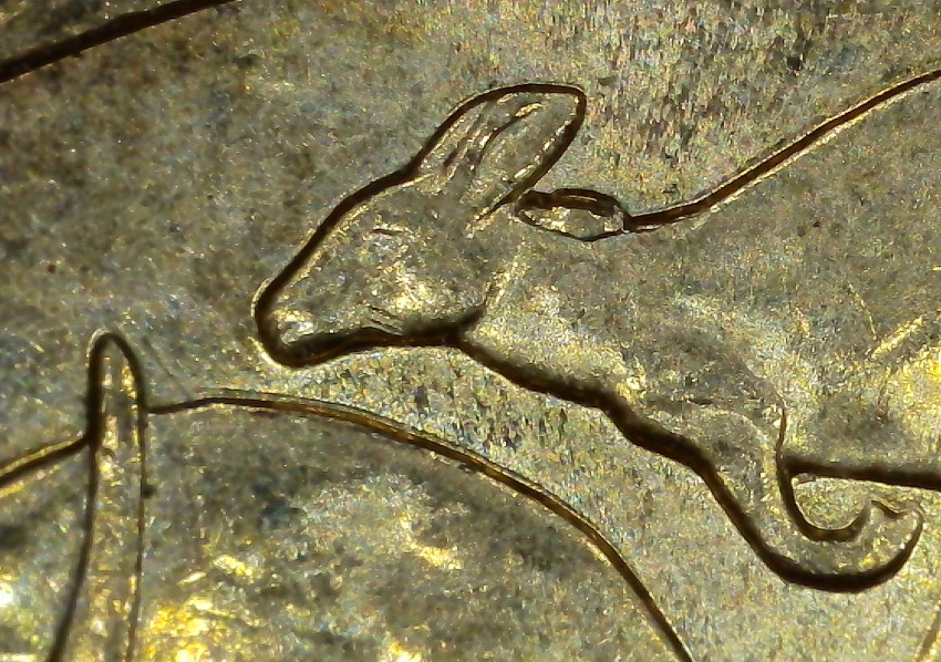 Some-2024-Mob-Of-Roos-$1-Rabbit-Ears-And-Other-Die-Chips