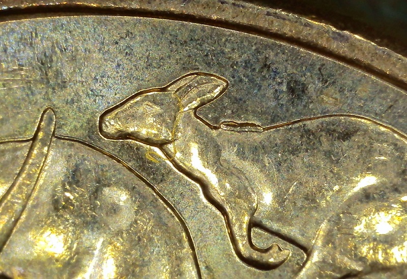 Some-2024-Mob-Of-Roos-$1-Rabbit-Ears-And-Other-Die-Chips