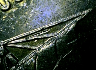 2004-Keel-Ship-Nickel-Error