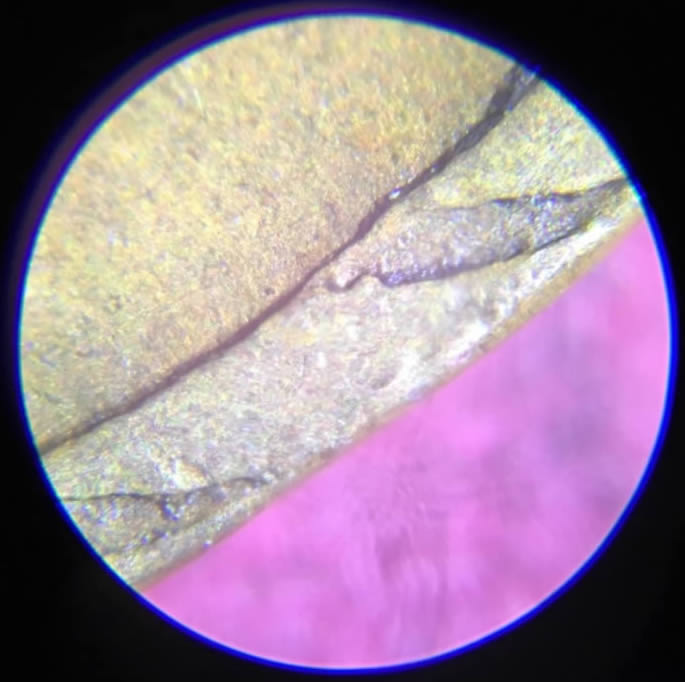 No-Date-Wheat-Penny.