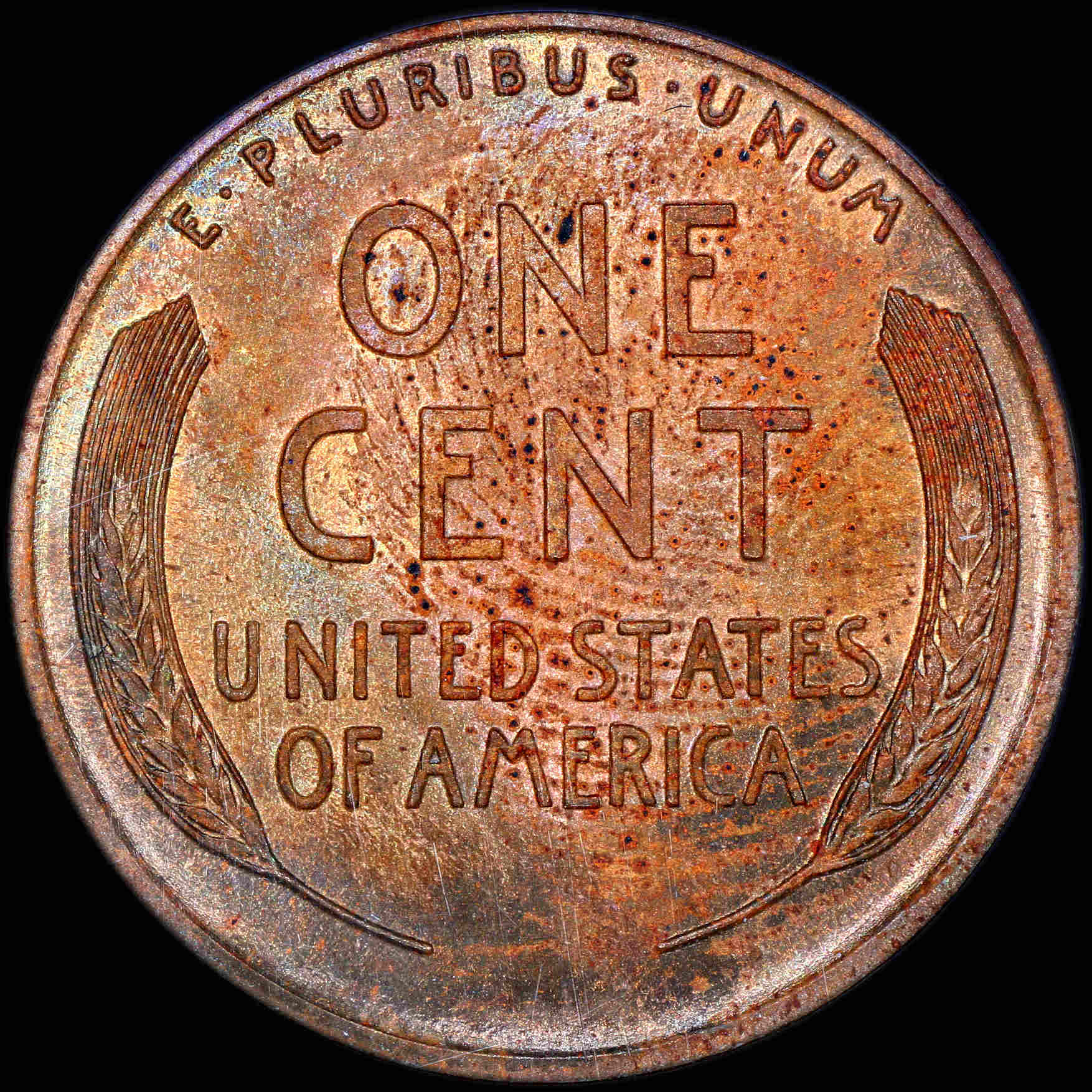 Post-Your-Slabbed-Mint-State-Coins-With-Fingerprints