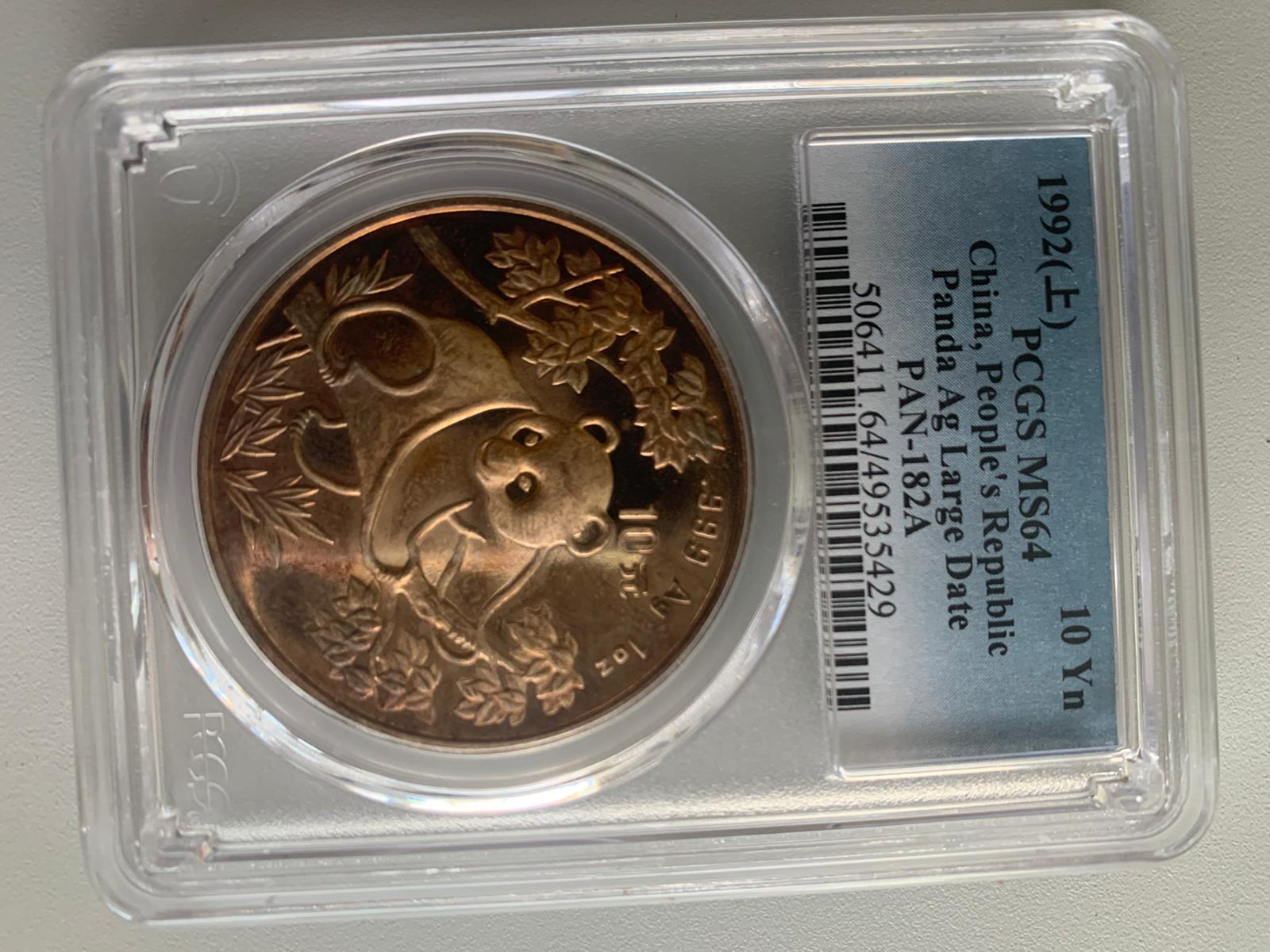 What-Do-You-Think-Of-Toned-Silver-Pandas.