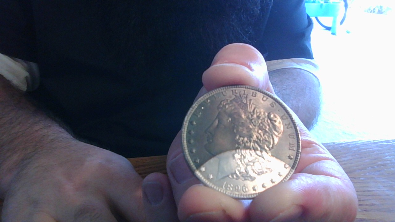 Artificial-Or-Natural-Toning-1896-P-Morgan-Dollar