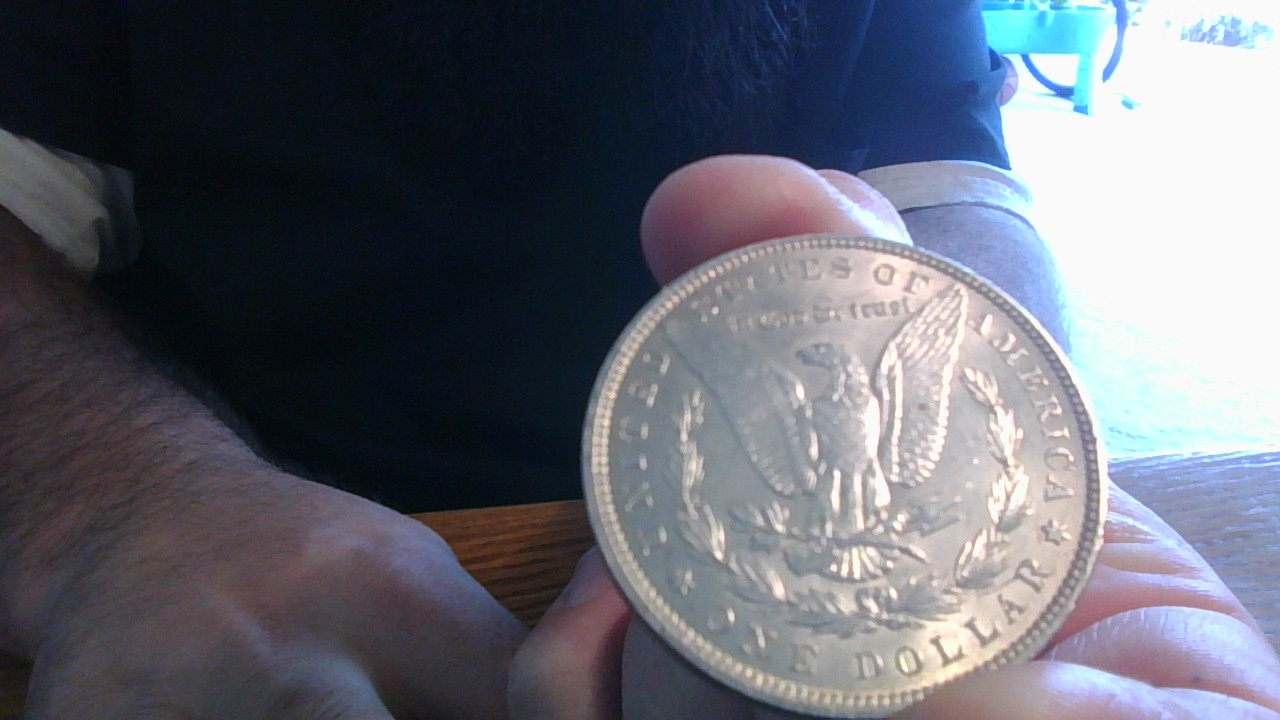 Artificial-Or-Natural-Toning-1896-P-Morgan-Dollar
