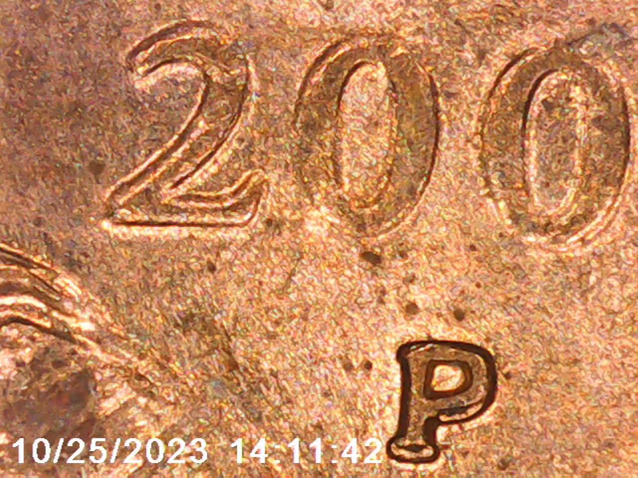 2000-P-Sacagawea-$1-Coin-Possible-RPM-And-DDO