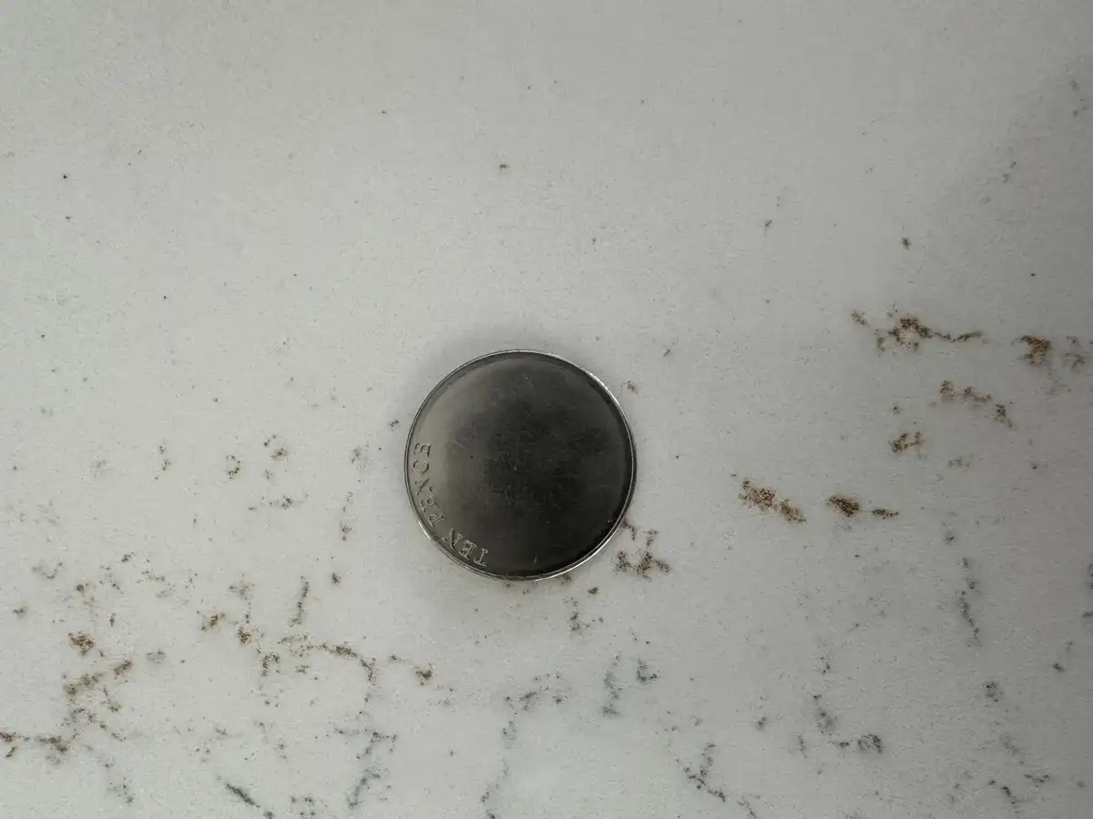 10p-Coin-Missing-Insect-Or-Bird