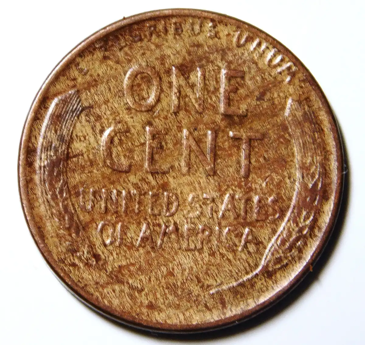 1909-S-VDB-Lincoln-Cent--Questionable-Color-Or-A-Woody