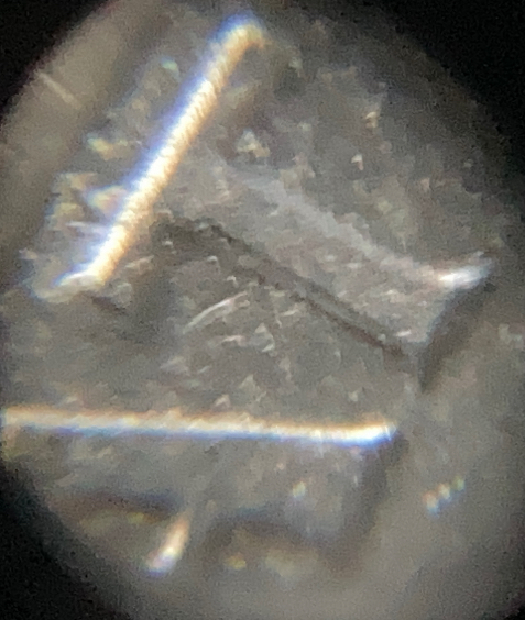 1976-D-Half-Dollar-50c.-DDR-DDO