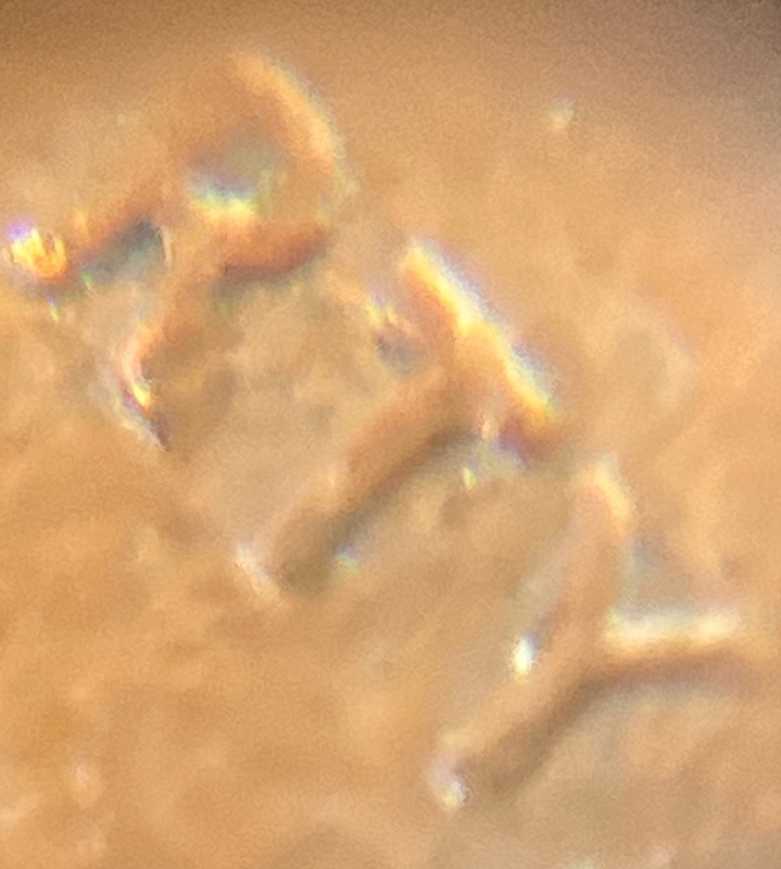 1969-S-Lincoln-Memorial-Cent-Type-2-Verification