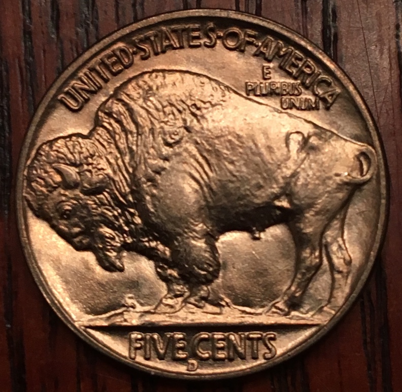 Grading-For-A-Roll-Of-1938-D-Buffalo-Nickels