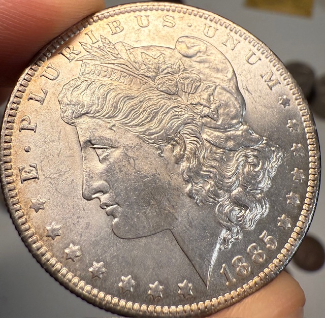 1885-O-Morgan-Dollar-For-Grading