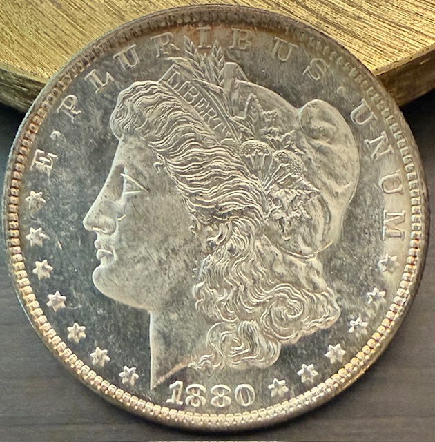 1880-S-Morgan-Dollar-For-Grading