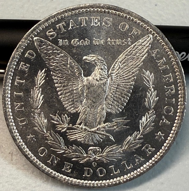 1882-O-Morgan-Dollar-For-Grading