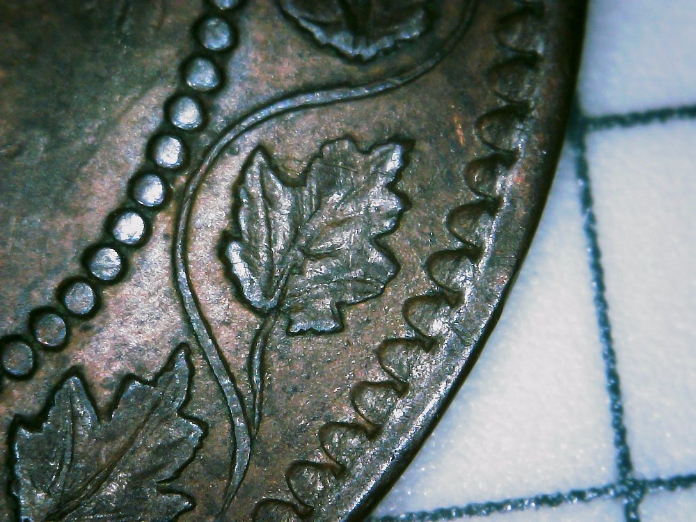 1859-Large-Cent-Attribution-Help