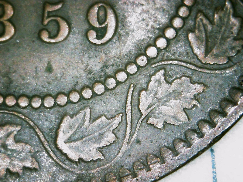1859-Variety-Attribution-Assistance-Requested