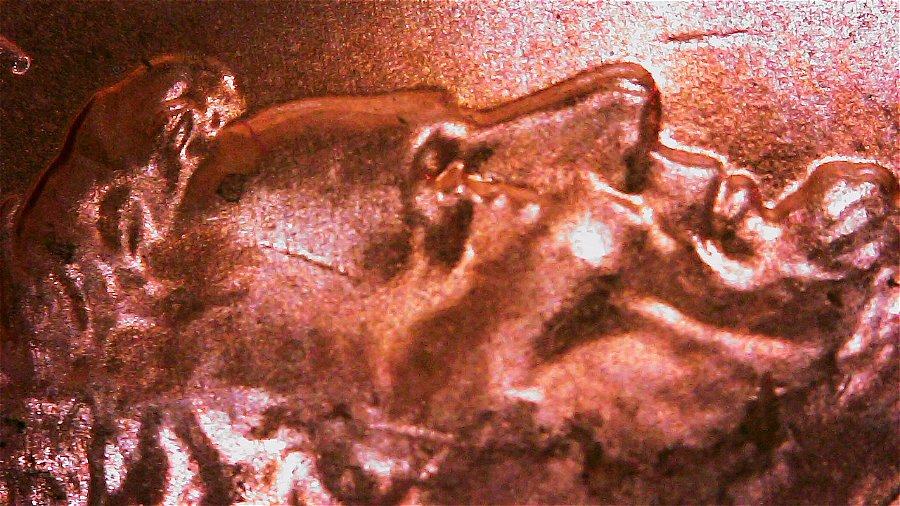 2017-P-LMC-Obv---Tear-Drop-Below-Eye-And-Double-Ear-Lobe!