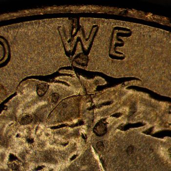 2024-P-Lincoln-Shield-Cent--Spikehead-Die-Crack-And-Die-Chip