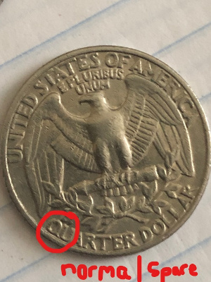 A-Possible-Error-On-The-1985-D-Quarter?