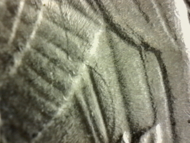 1971-Quarter-With-Odd-Looking-Line-Going-Thru-The-Wing