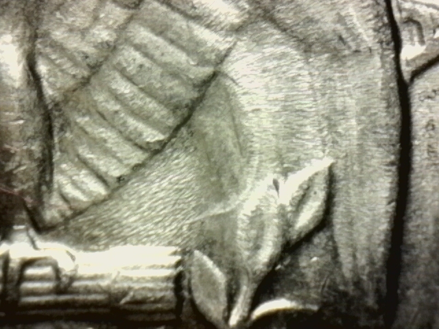 1971-Quarter-With-Odd-Looking-Line-Going-Thru-The-Wing