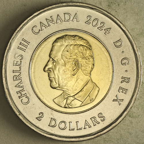 Toonies-I-Got-In-Toronto