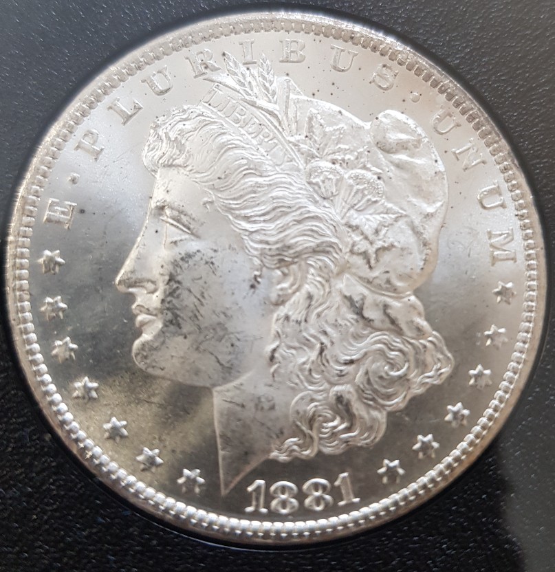 1881-CC-Morgan-Dollar-For-Grading-Gsa