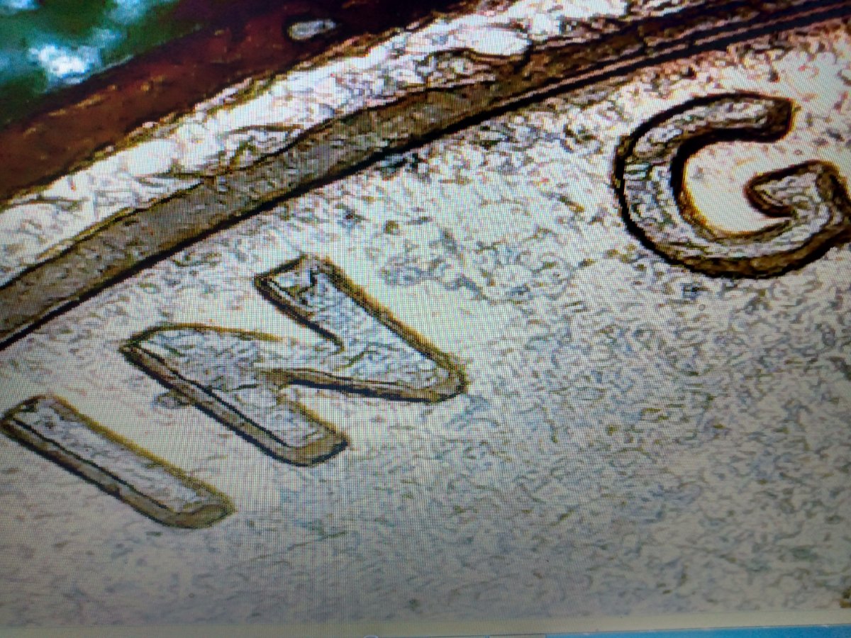 Possible-DDO-1978-Penny?