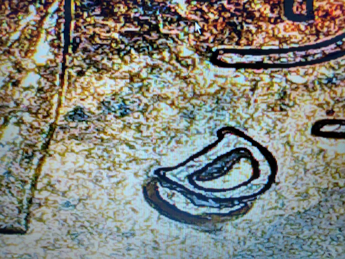 Possible-RPM-On-Lincoln-Cent