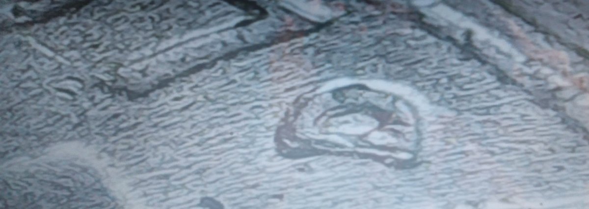 1997-D-Nickel-Possible-RPM-Or-MD?