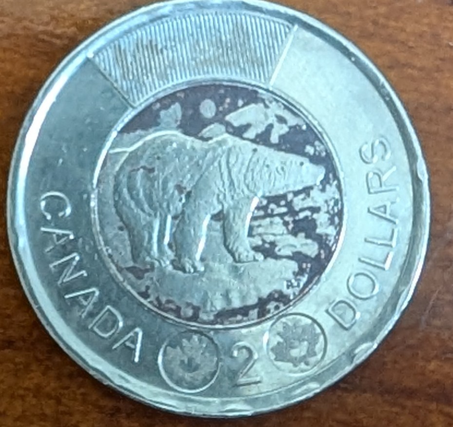 2013-Toonie-One-Colour