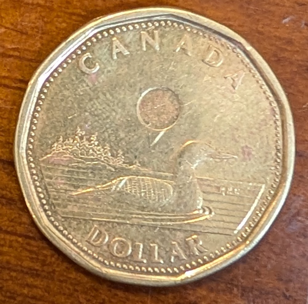 Another-2012-Loonie-DDO