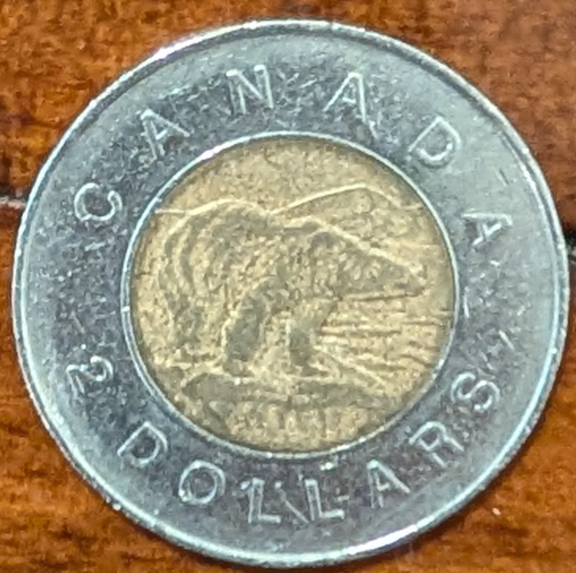 Finally-Found-A-1996-Horn-Toonie