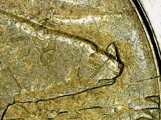 Finally-Found-A-1996-Horn-Toonie