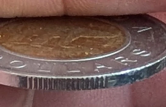 2018-Counterfeit-Toonie?