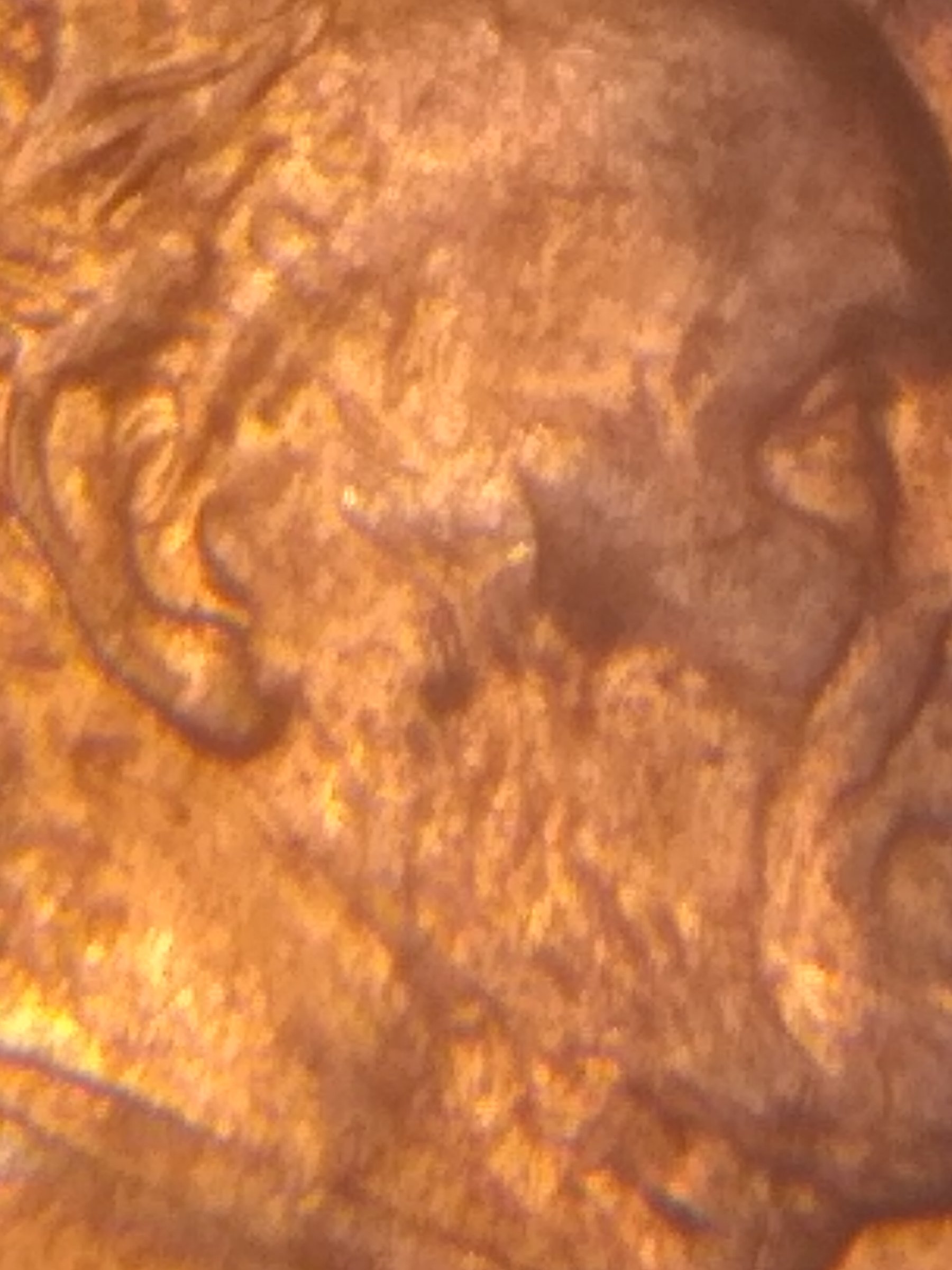 Do-Any-Of-These-Look-Like-A-Lincoln-Double-Ear