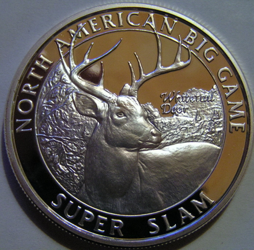 Best-Digital-Camera-For-The-Buck-For-Coins